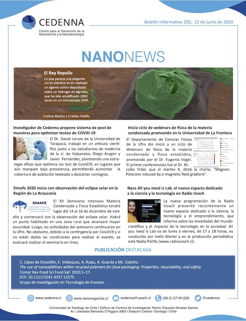 Boletín Nanonews 202, 12/06/2020