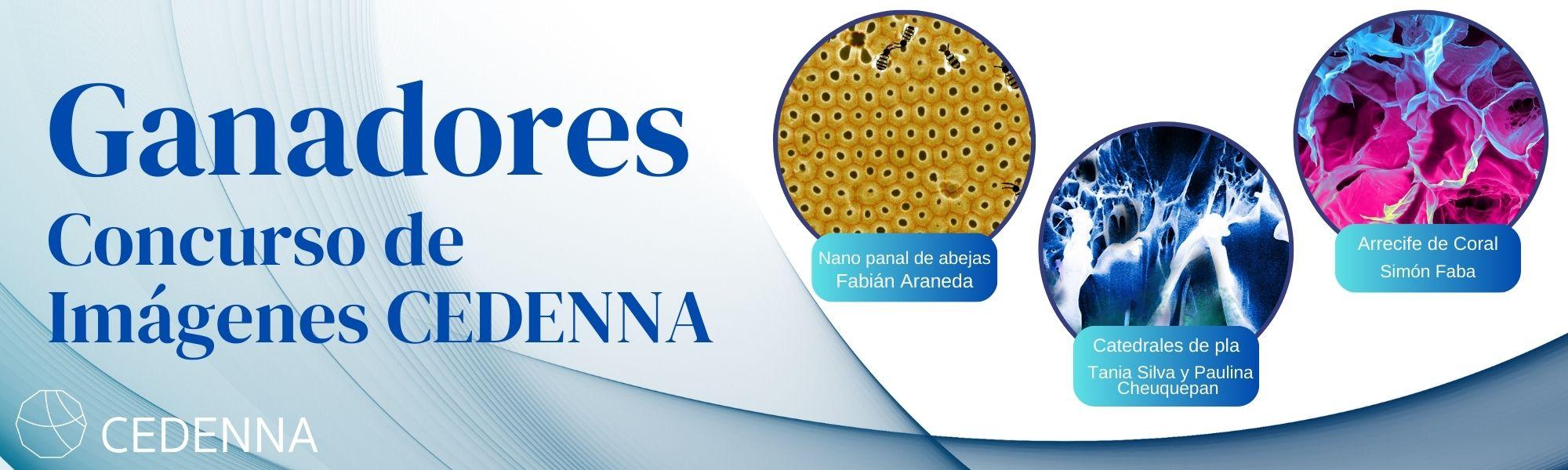 ganadores