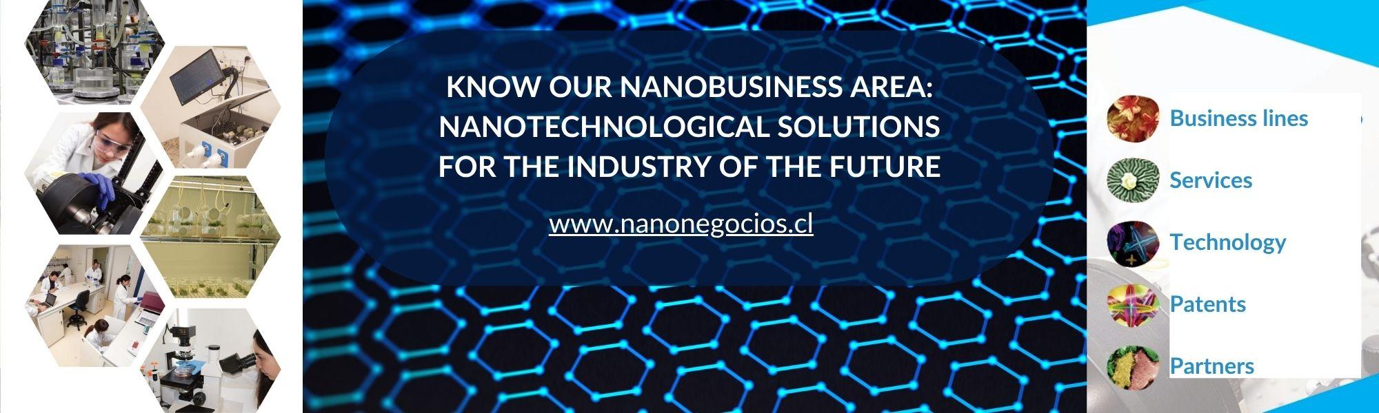 nanonegocios inglés