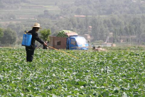 "Spreading Pesticide" by IFPRI is licensed under CC BY-NC-ND 2.0 