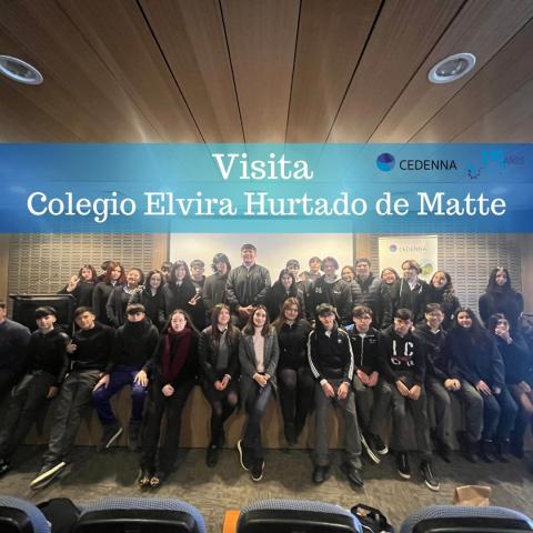 Elvira de matte