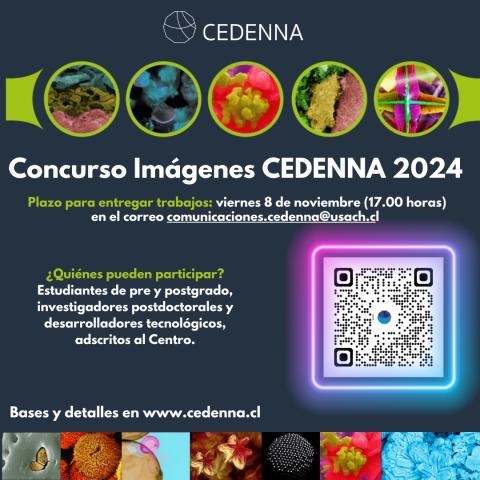 Concurso 2024