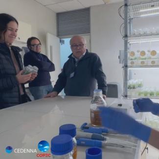 visita COPEC