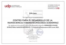 Patentamiento UDP