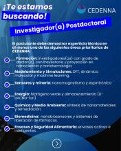 Post Doc
